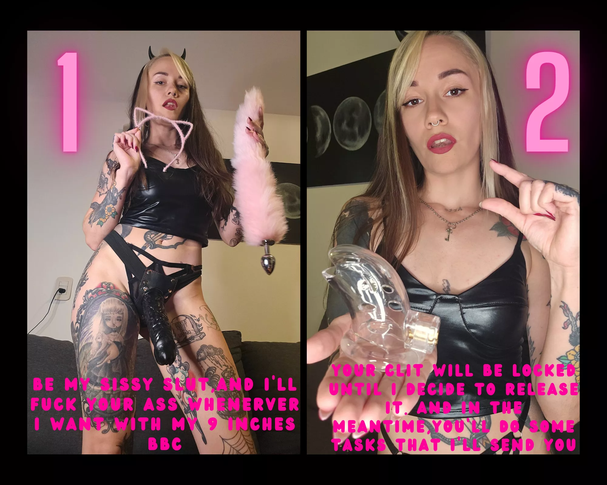 which one do you choose?