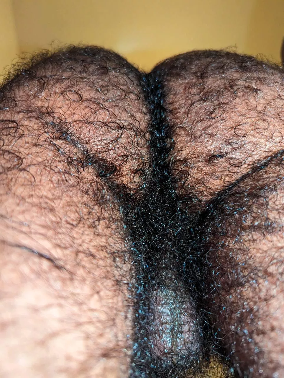 Whose face can I fuckin sit on 😎