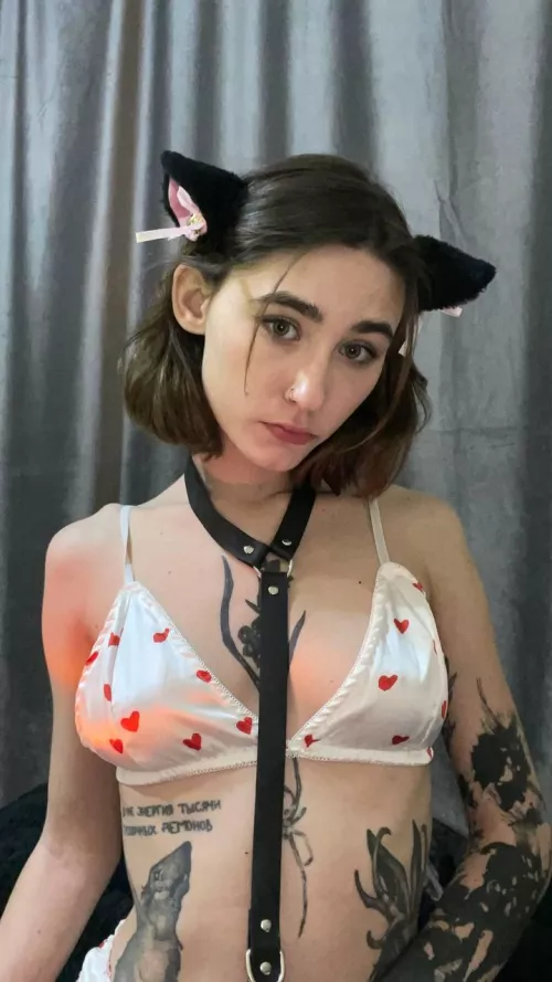 you'd grab me by my collar and show me who my master is, wouldn't you