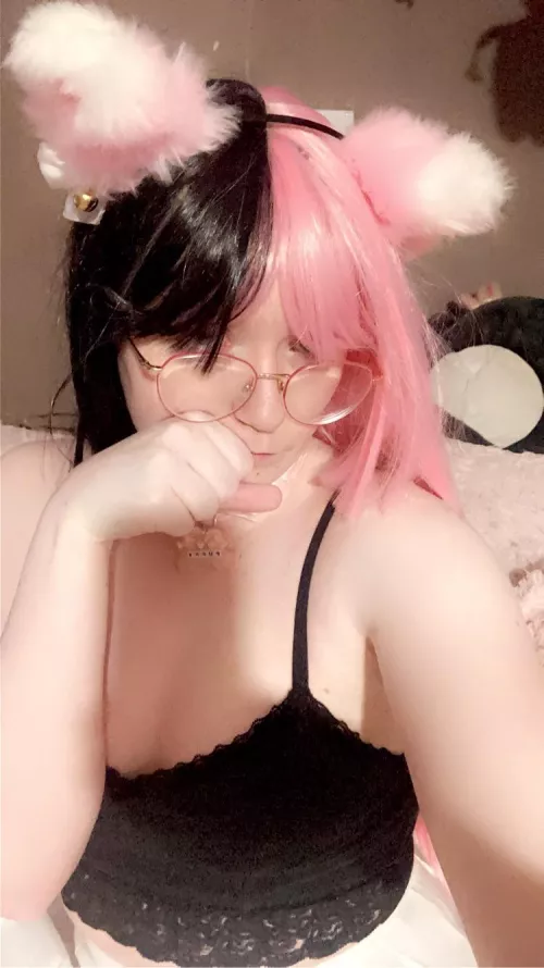 Your 19yo unowned kitten