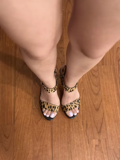 Your favorite Persian/Mexican is back 🫶🏽🤭🥰