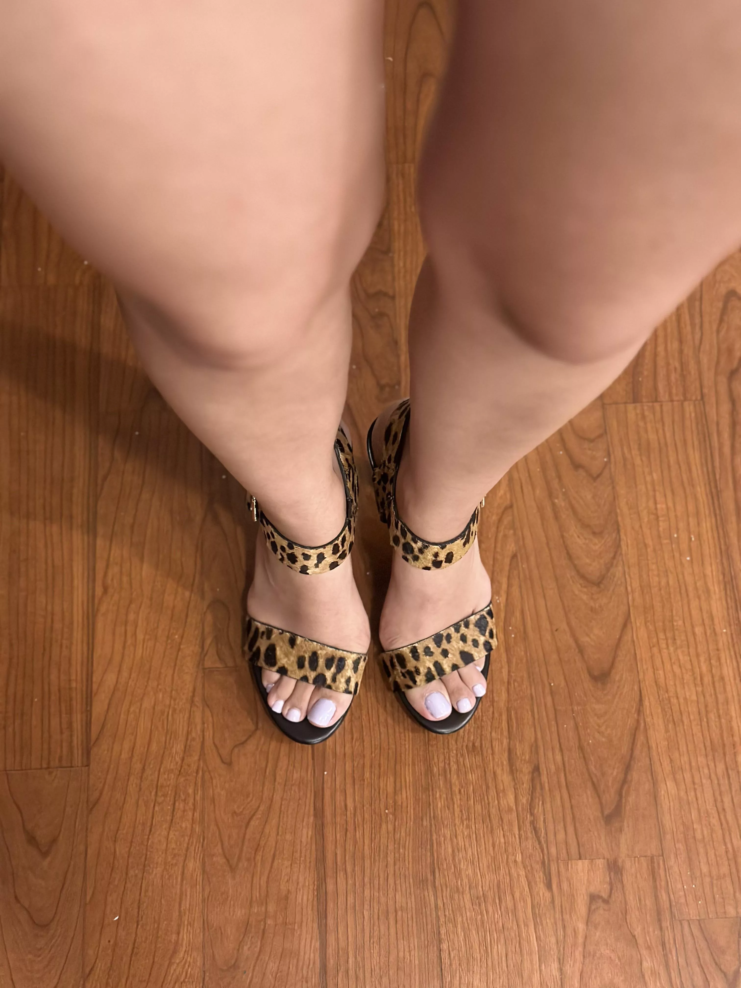 Your favorite Persian/Mexican is back 🫶🏽🤭🥰