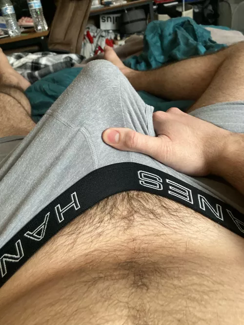 24 looking for hairy jerkbuds who can make me cum. Add boxerbrief8