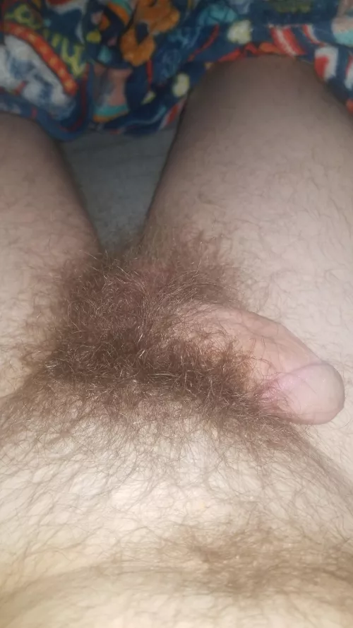 29 m4m any bisexual guys like my bush and cock?