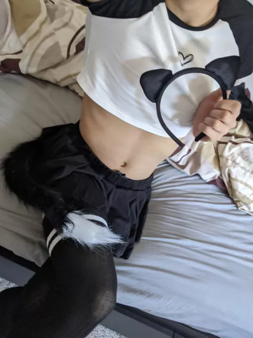 any cat people here? meoww :3