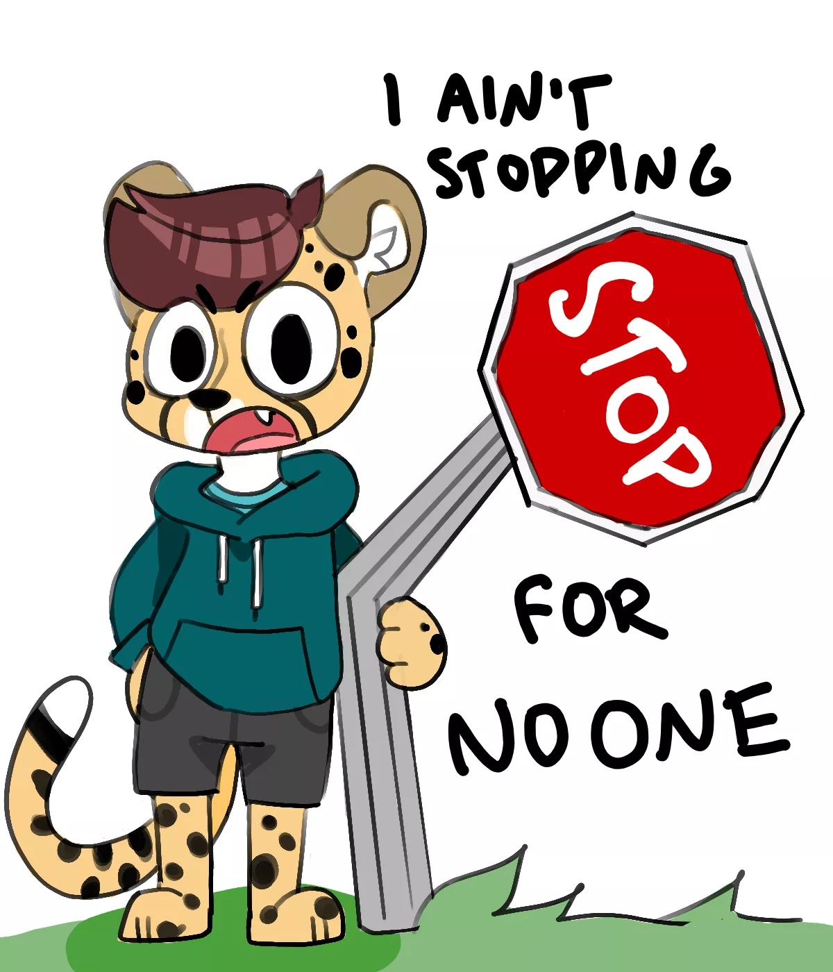 cheetah boyo don't stop