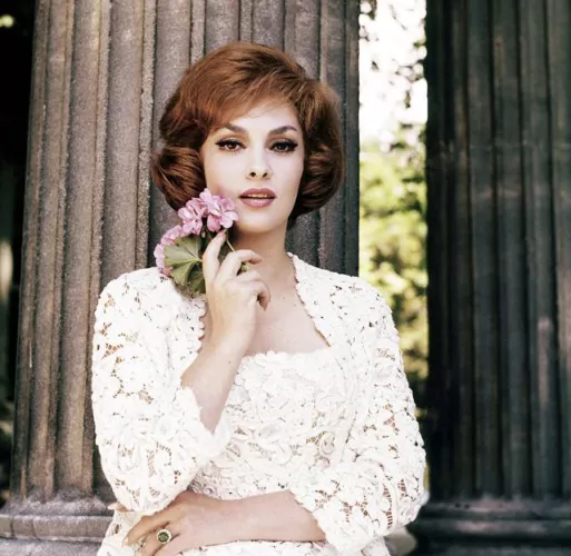 Gina Lollobrigida (1960s)