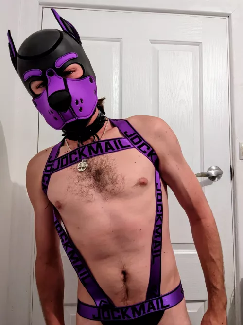 Happy little club pup outfit