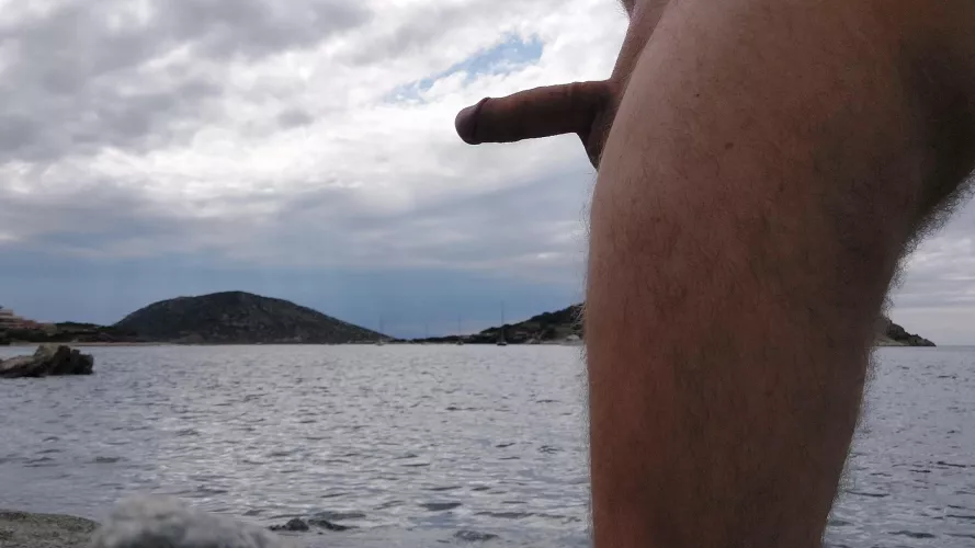 Longing for warmer days again