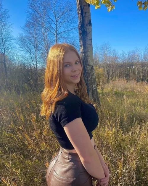 Nice View in the Woods