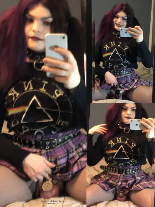 Now that Connie is back from her break which cage am I going to be locking her up in for the next month😏