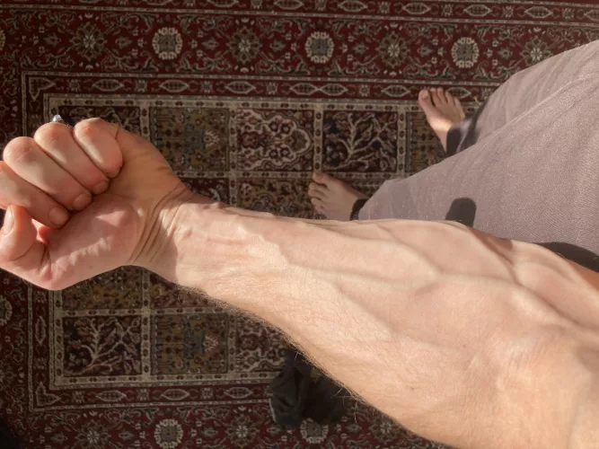 Ready for landscaping work