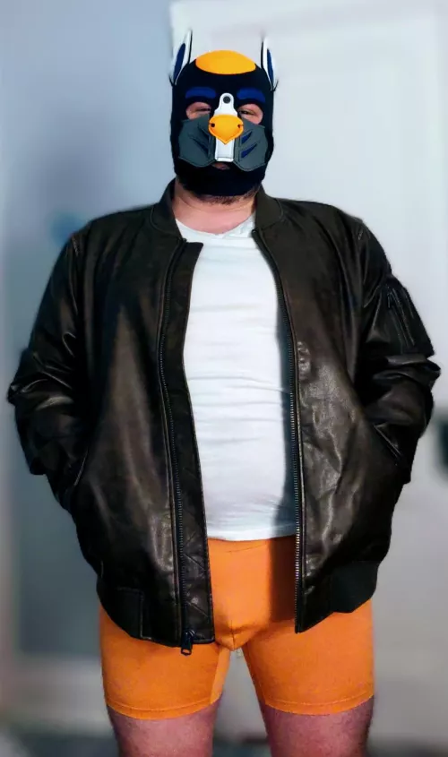 This pup is dressed up for some naughty nights out...