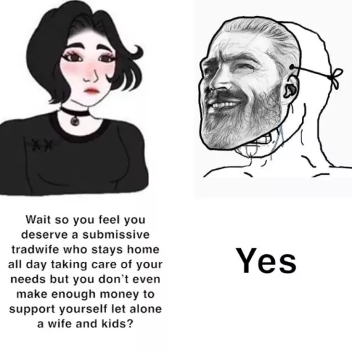 Tradwives in femdom vs the subs who crave them