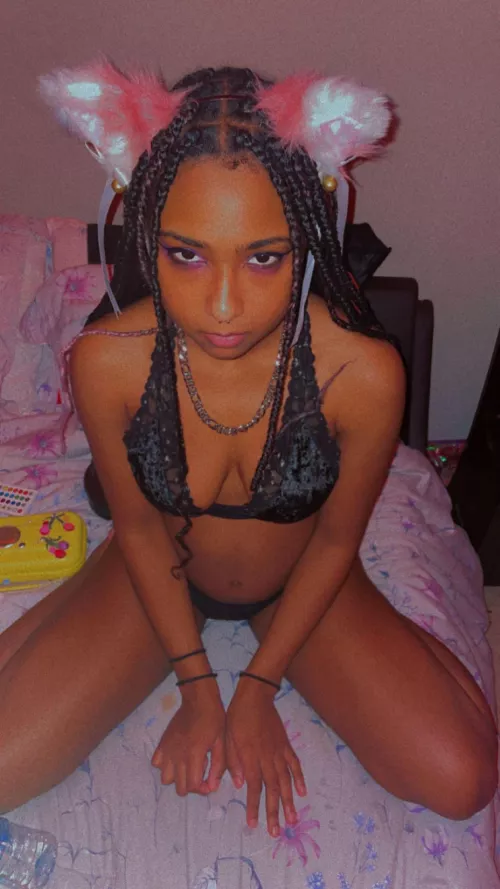 What type of collar would you give me?