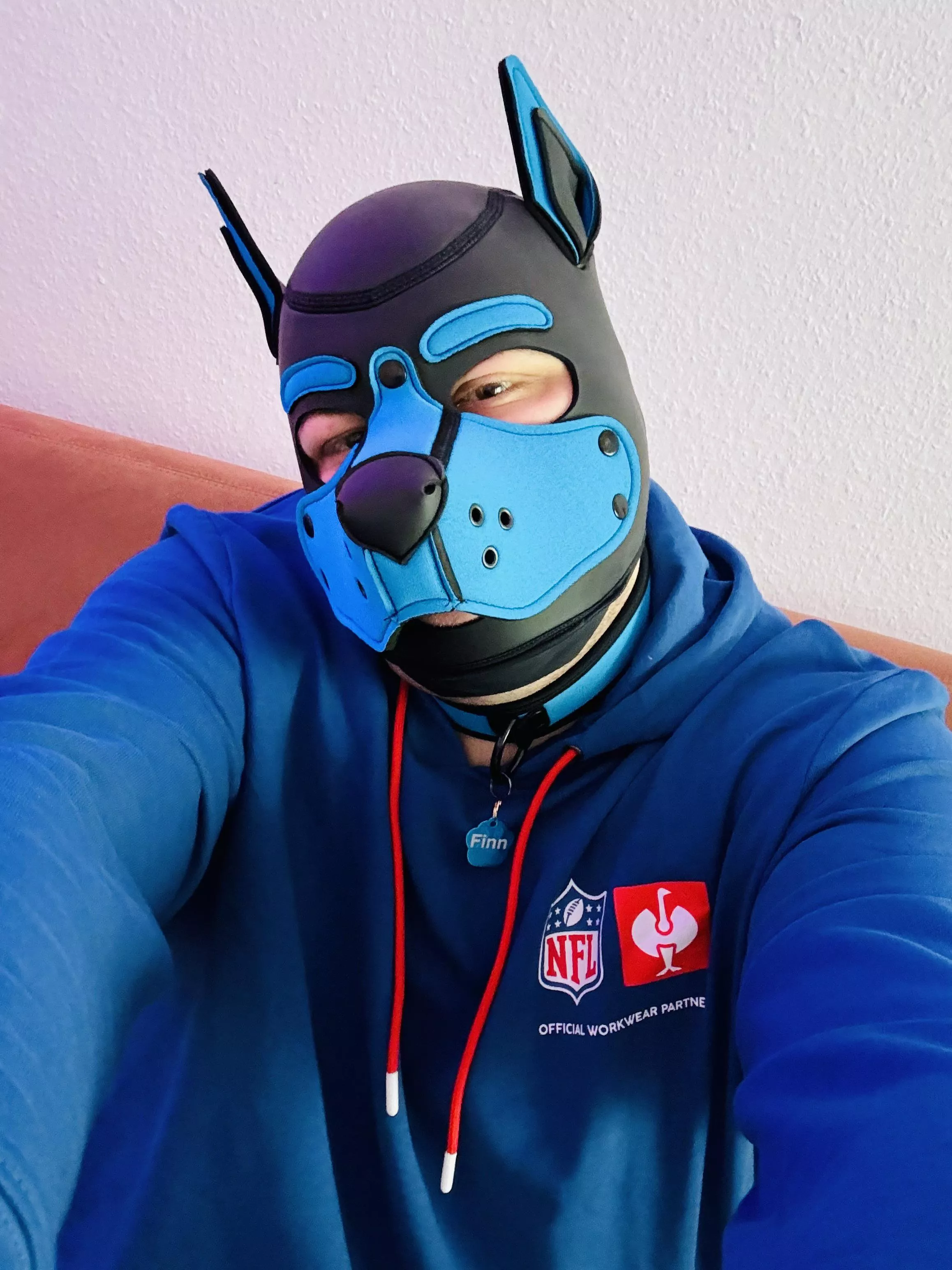 Woof! 🐾 I'm so excited 🐕 I got my new hood and my new collar 🐶🐾