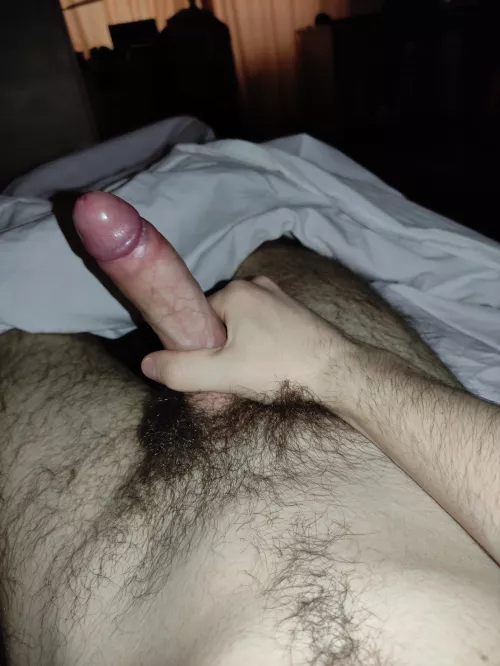 21 yo. No shaving for about 3 months