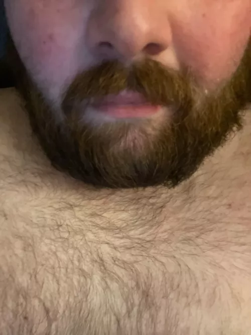 30 southern married bear. Looking for throbbing cock to worship or a sweet hole to fill and love role play. Let’s chat and see where it goes. Add beard_bear