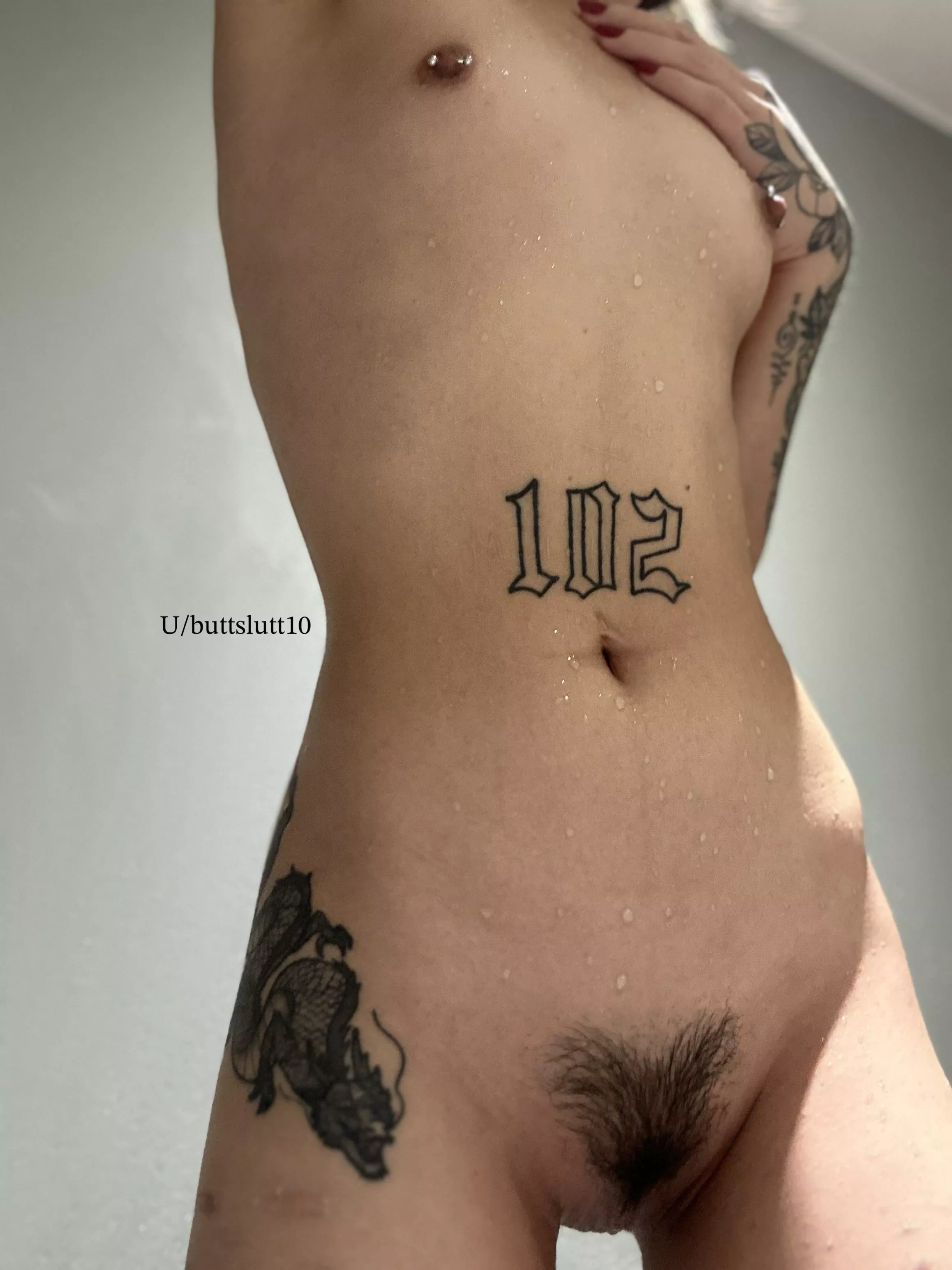 Asian bush grows so neatly