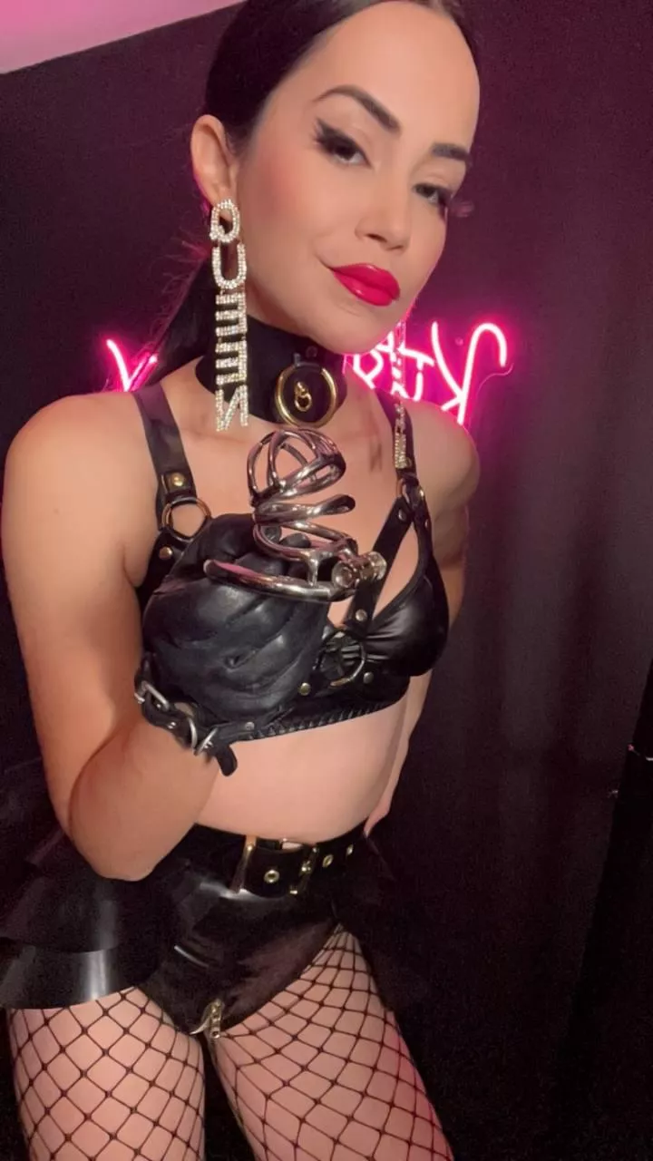 Beta dicklets belong in cages to ensure that learning neccessary mouth skills is their primary focus!👅