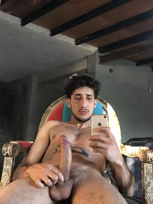 big erection this morning