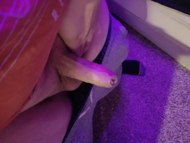 Could use a tight pussy tonight