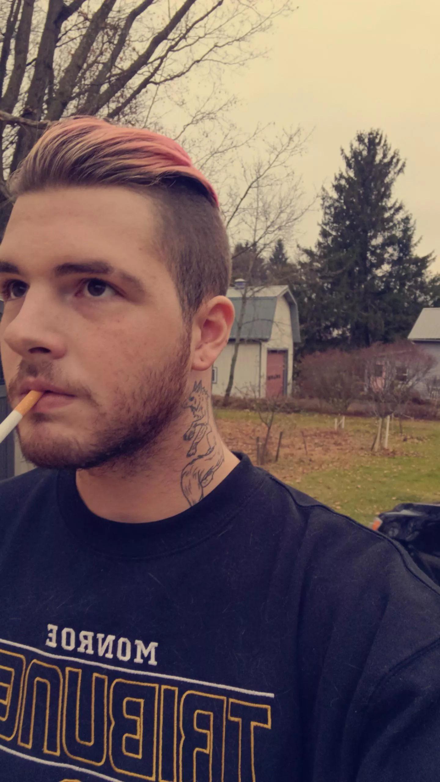 currently two days into my work-related t-break