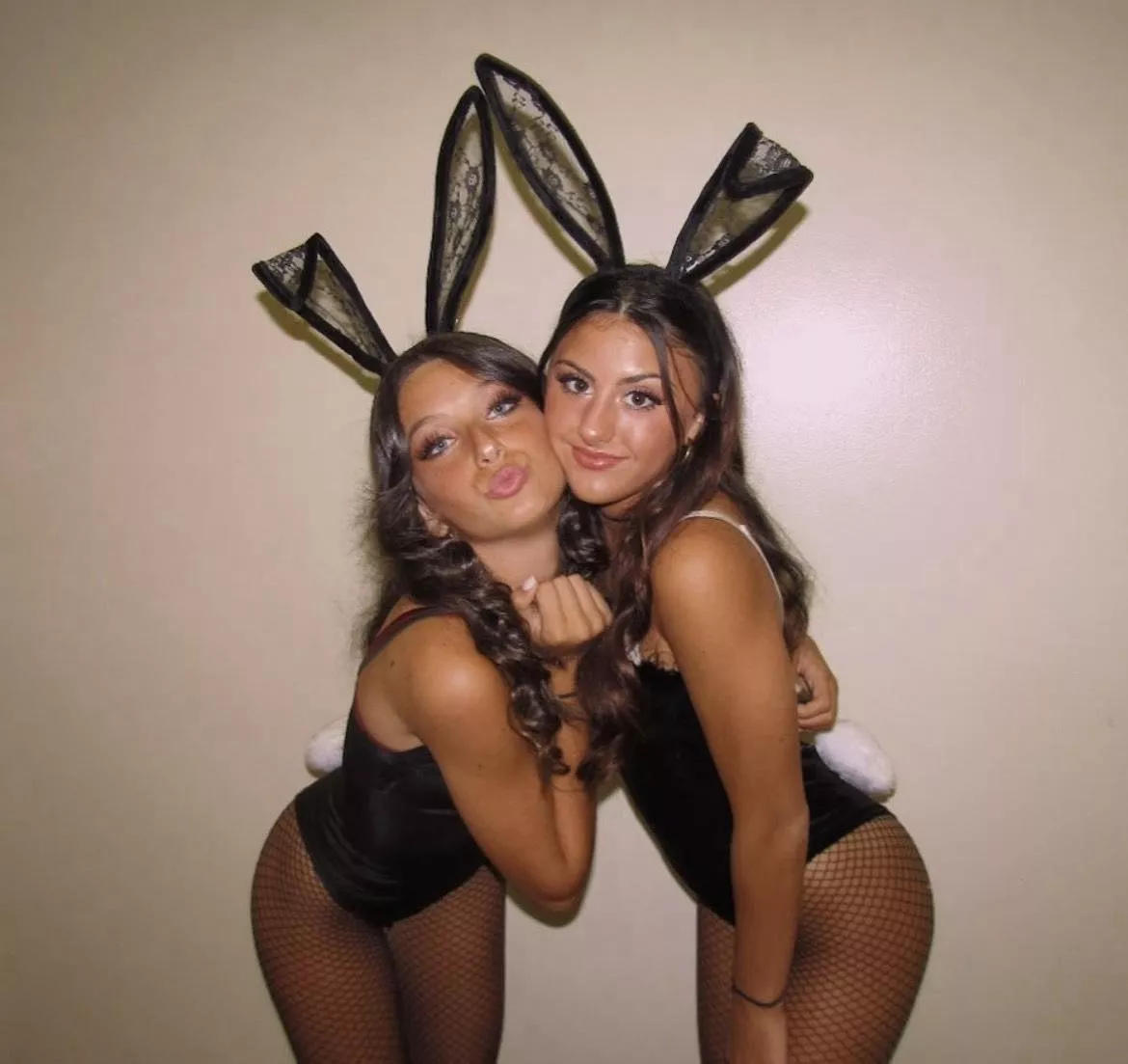 Cute bunnies