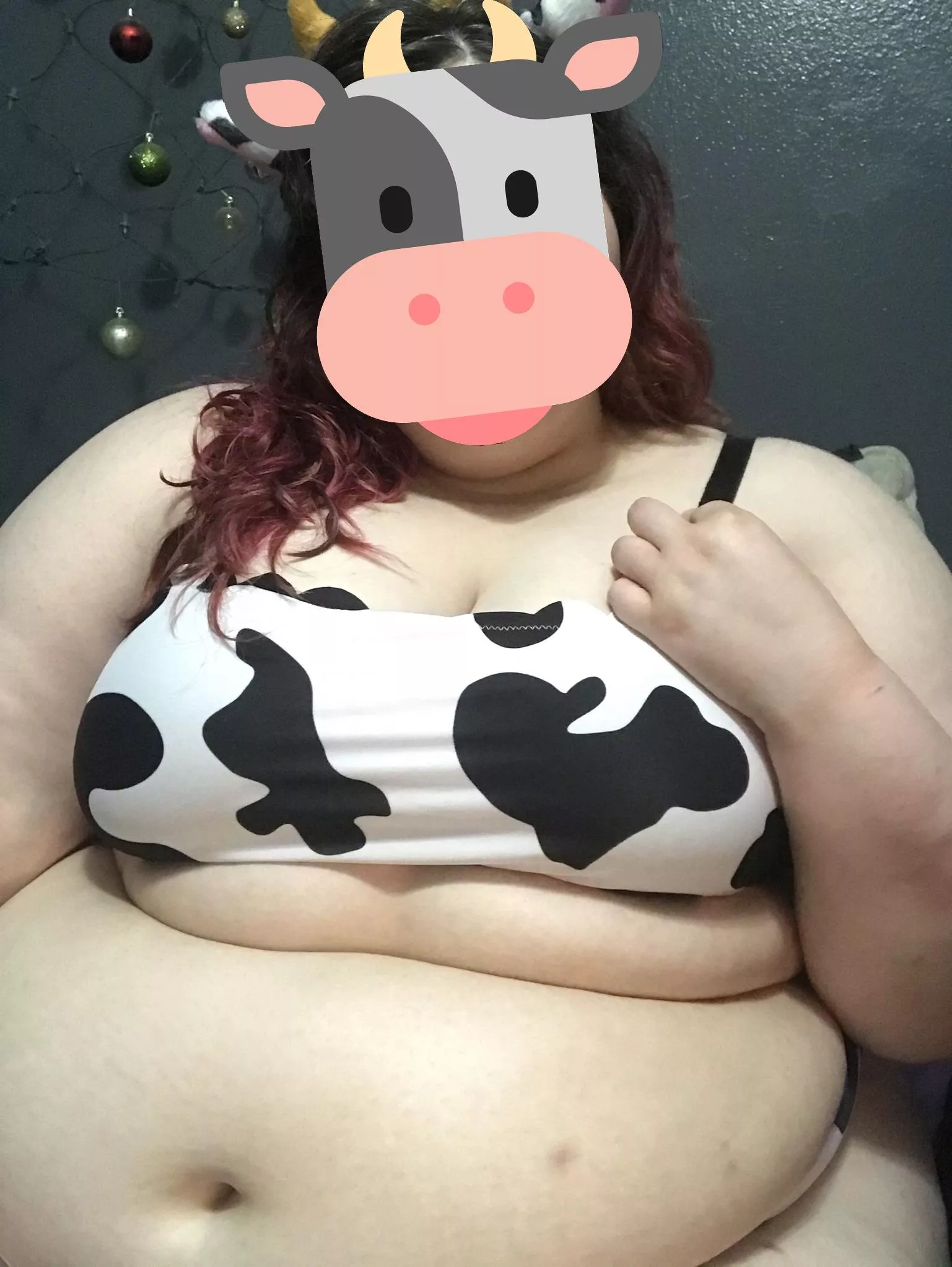 Do you like your cute little cow's big belly?