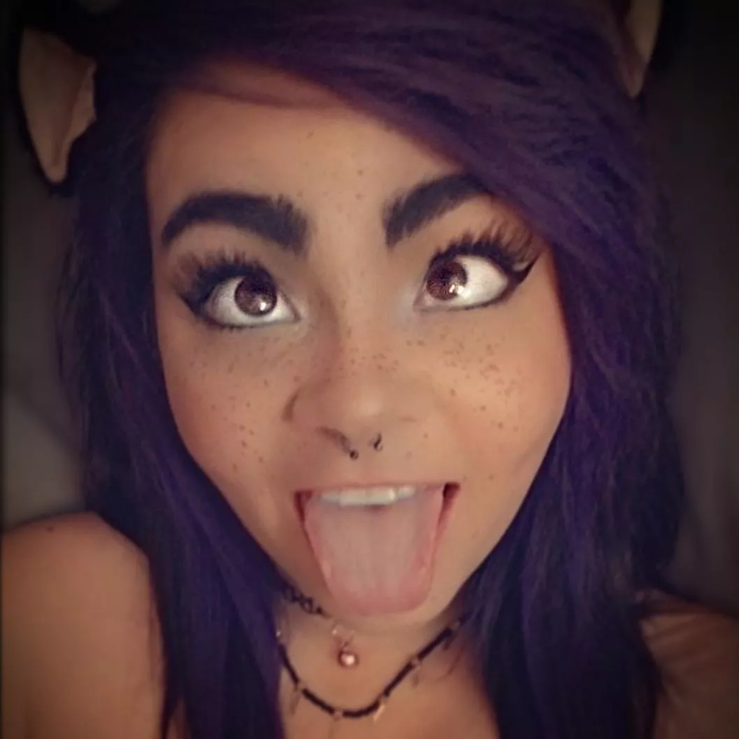 Do you want a new kitty ;) [OC]