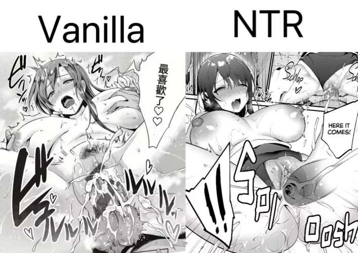 does vanilla still turn you on or you can only get off to NTR?