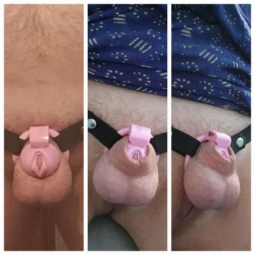 Finally figured out the best fit for this cage and it is HEAVEN