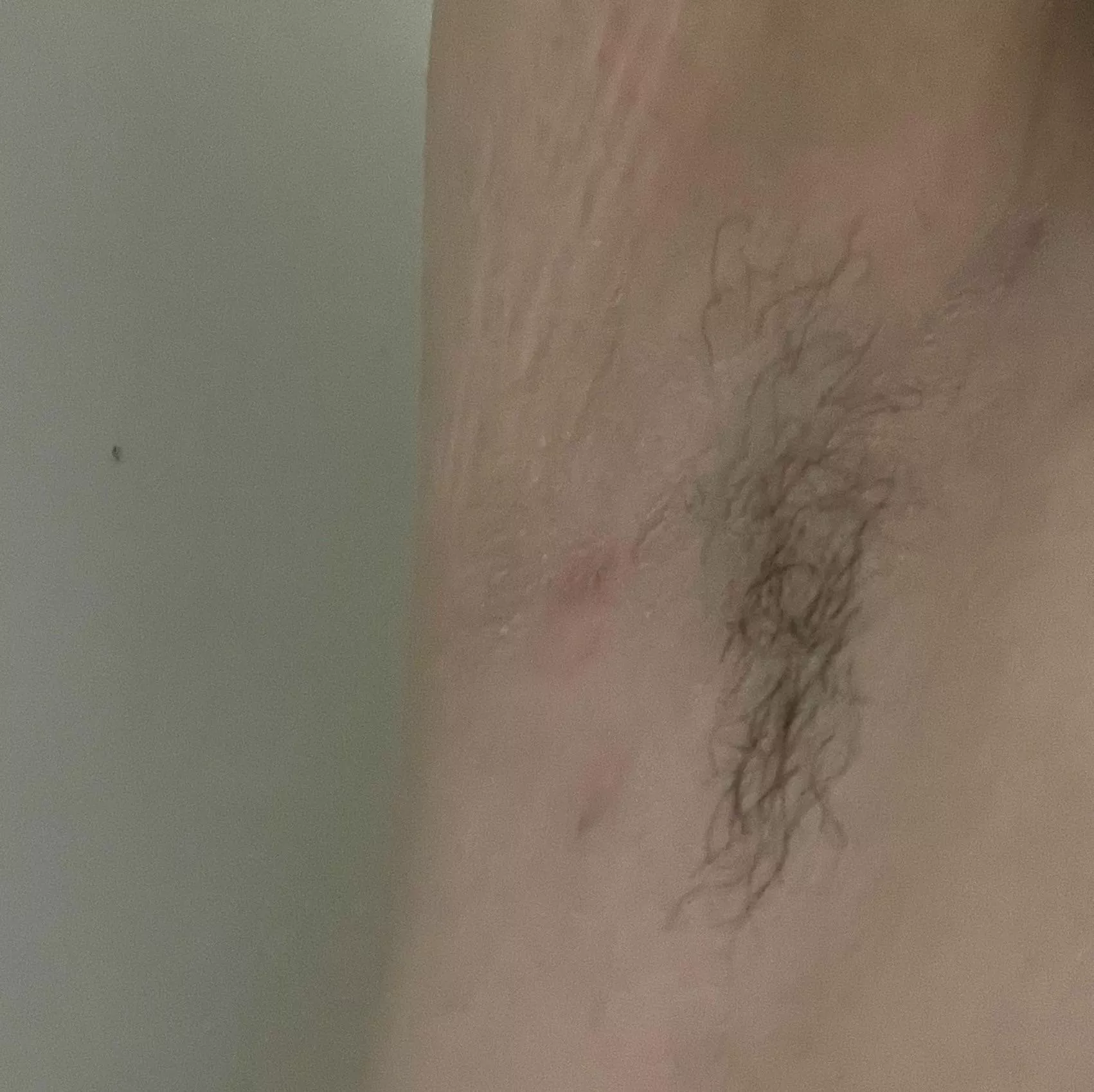 Growth for the month of Jan. 😄