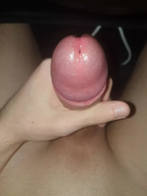 is he suckable?