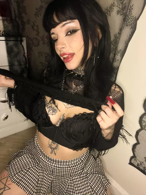 let me be your study buddy?