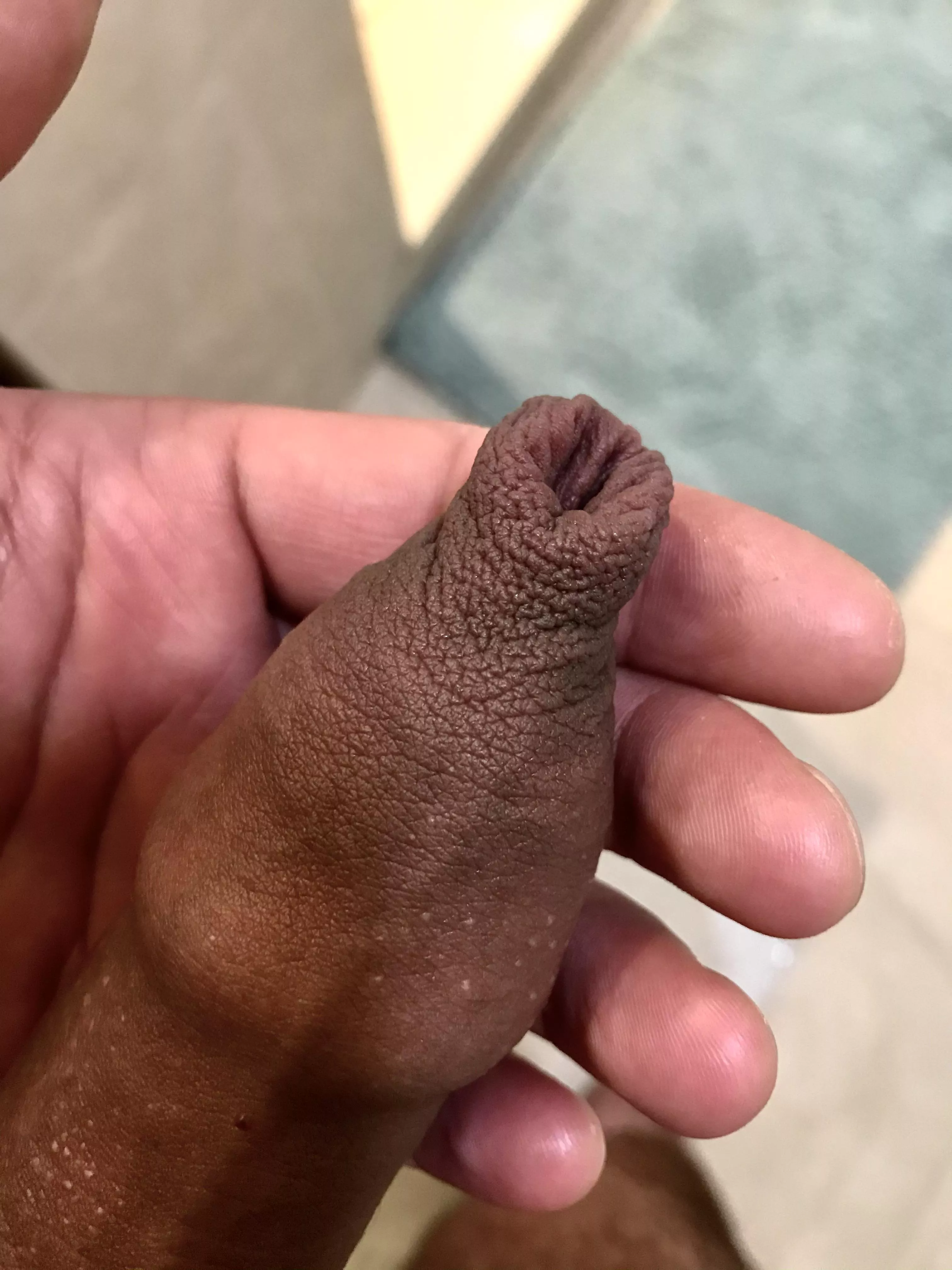 New here, what do you think?