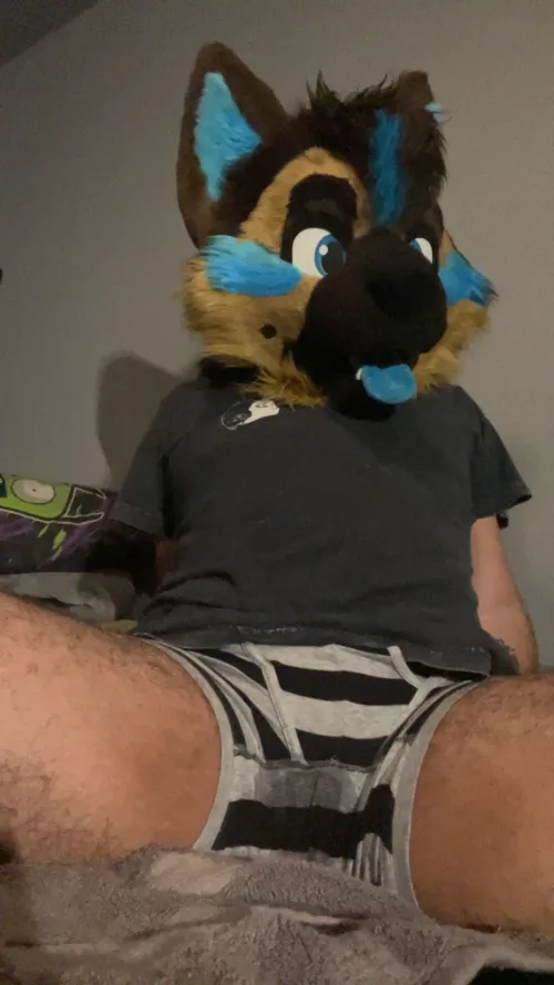 Puppy had a little accident…