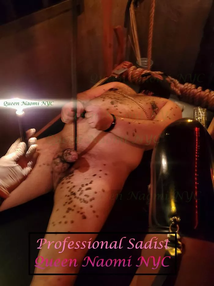QueenNaomiNYC1[Domme]