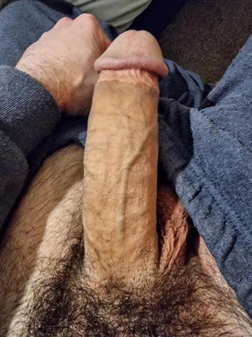 Scottish sausage 🏴󠁧󠁢󠁳󠁣󠁴󠁿