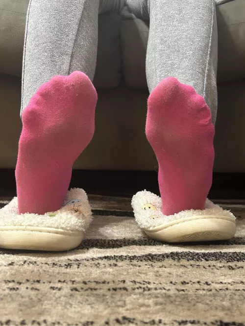 Slippers and dirty socks make the best combo.