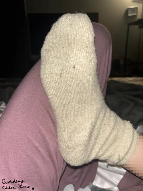 these are my used socks, and are more important than you [F]