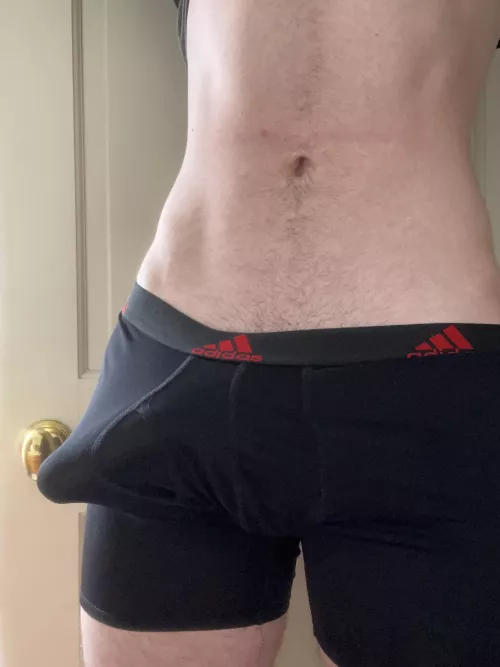 What are you doing if you see me with this bulge