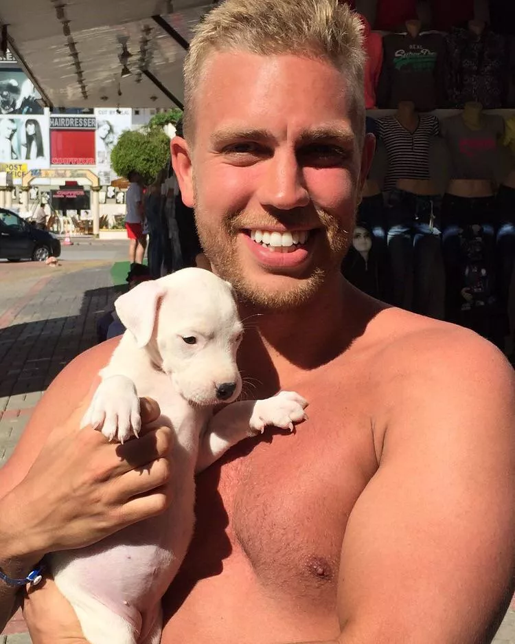 Who are you? Dogs or cats?🐶🐈