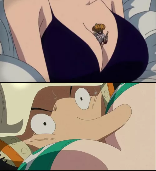 Who is luckier, Gancho snuggled inside Robin's cleavage OR Usopp getting a nosejob from Nami's tits?