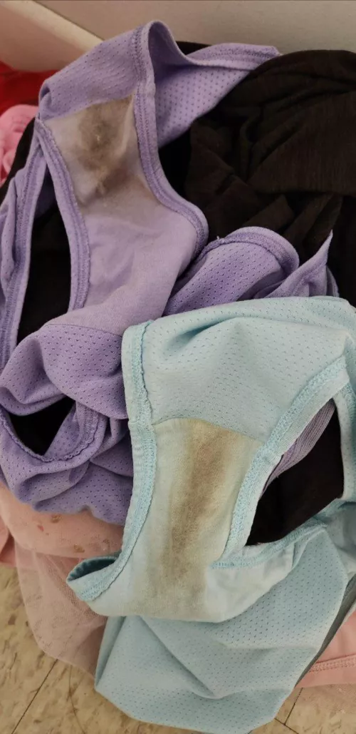 Wife's musky panties