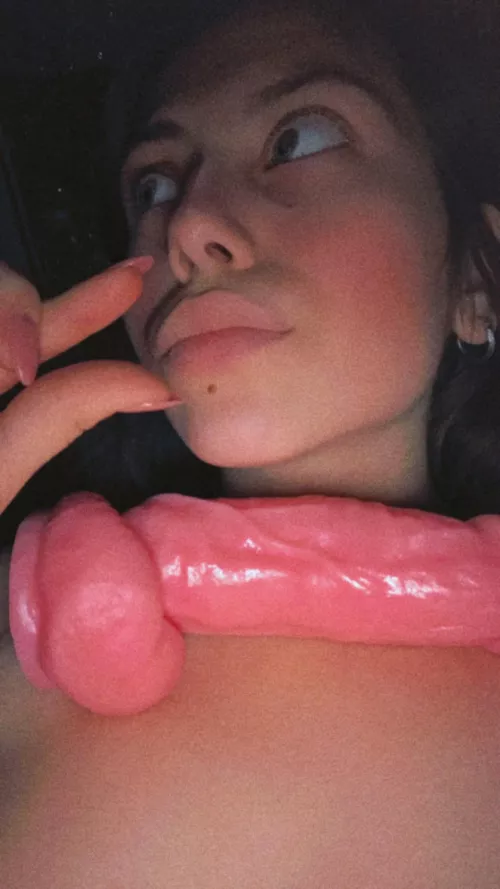 Would you let me peg you 7 times per day?