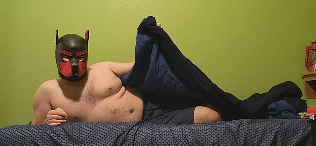 Yaaaaaaawn~ Any pup wanna keep me warm and take a nap?