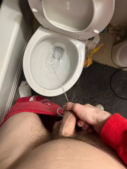 you wanna see my piss play?