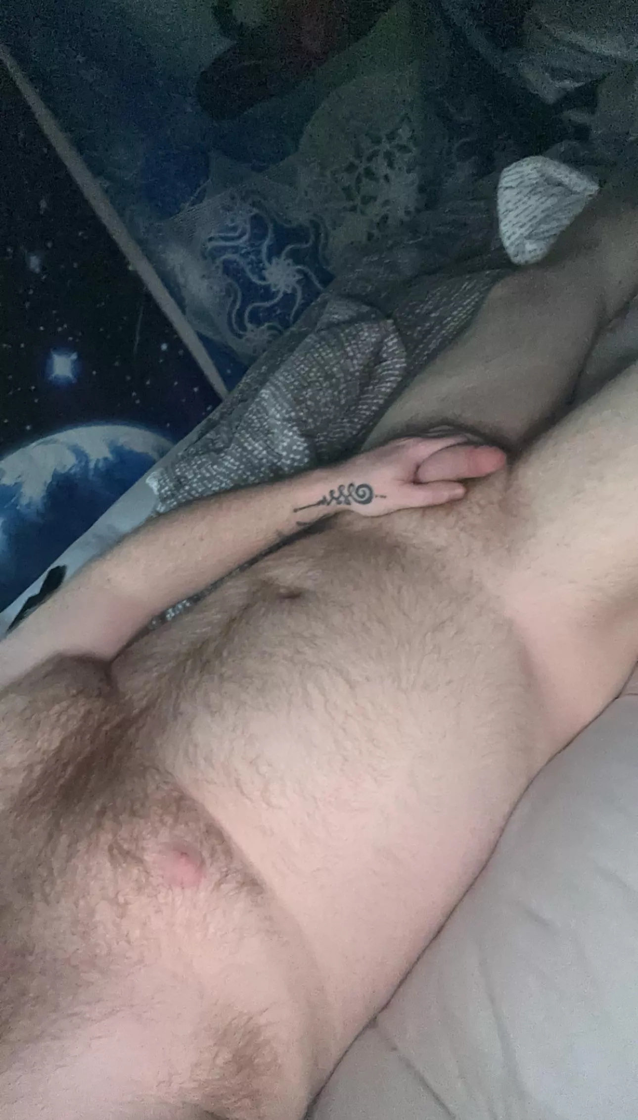 26 year old dad bod softie 🇦🇺