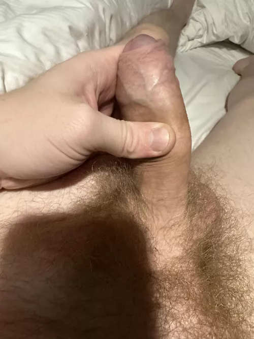 30 [M4R] #Bedford. Would love a big cock to suck on and play with.